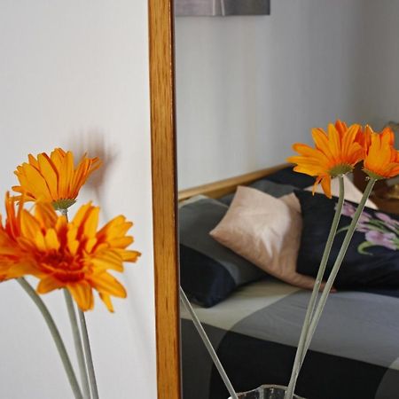 Apartament Sant Joan Sant Joan De Villatorrada Стая снимка